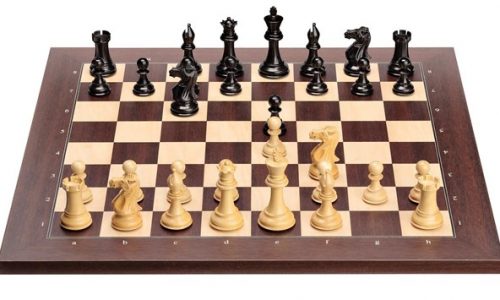 Шахматы в школе. Повышение квалификации для педагогов «Точки роста».